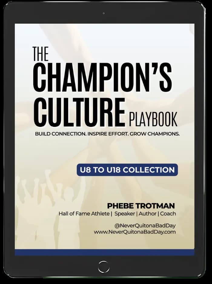Book mockup preview showing cover design